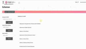How to Search Scheme on NSP?