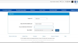 National Career Service Portal 2025