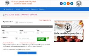 UP DELED 2025 Online Apply