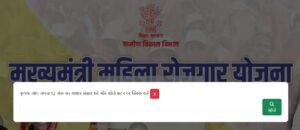 Mukhyamantri Mahila Rojgar Yojana Payment Status Check Online