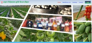 Bihar Paan Vikas Yojana 2026