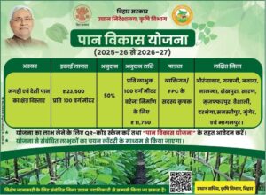 Bihar Paan Vikas Yojana 2026